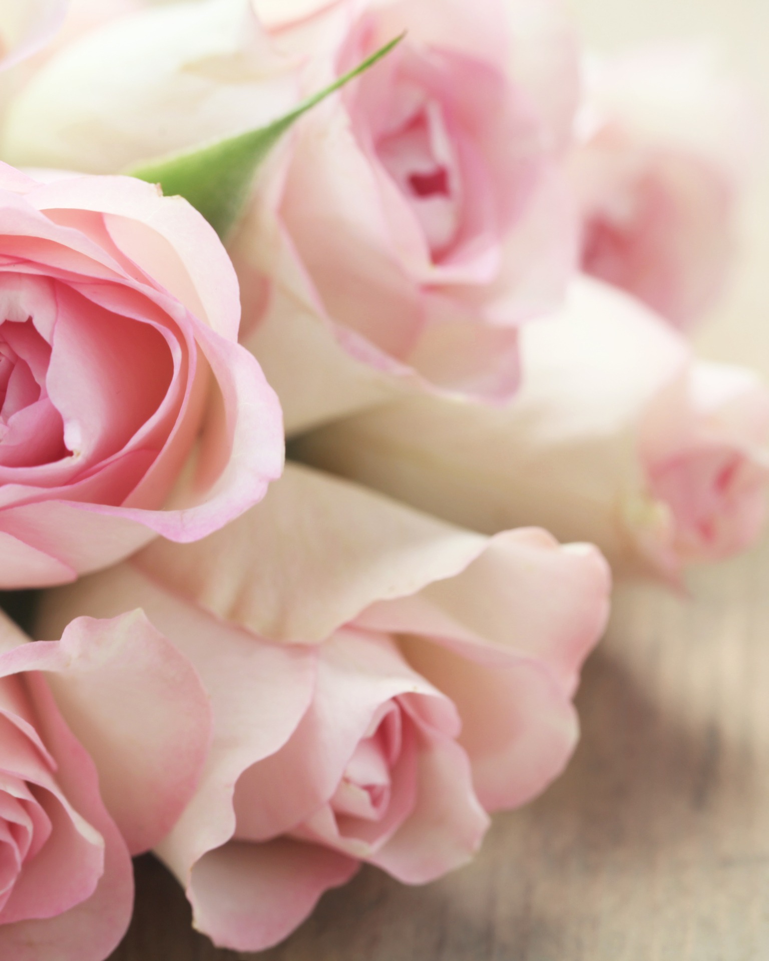 Rosenstrauss liegt auf dem Tisch