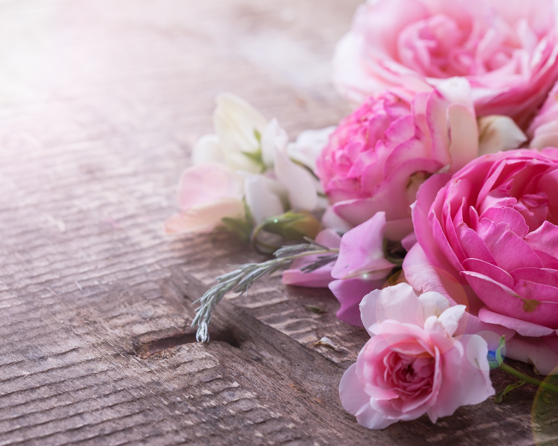 rosa-Blumen-liegen-auf-dem-Tisch