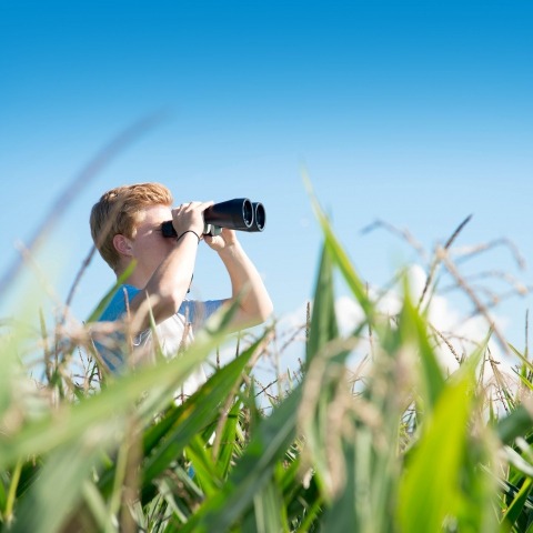 Mann schaut mit Fernglas in die Ferne